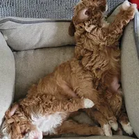 processed/0a5328b3-63da-47cf-b157-9d2370ca13c8/facility/8166eb42-e546-4ed6-8b34-0143ae9311d2