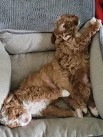 processed/0a5328b3-63da-47cf-b157-9d2370ca13c8/facility/8166eb42-e546-4ed6-8b34-0143ae9311d2