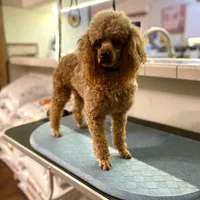 processed/0a5328b3-63da-47cf-b157-9d2370ca13c8/facility/8d0d0509-842f-4147-b0e3-7097be34fcd0