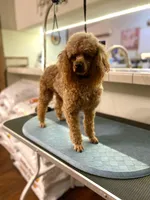 processed/0a5328b3-63da-47cf-b157-9d2370ca13c8/facility/8d0d0509-842f-4147-b0e3-7097be34fcd0