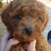 processed/0a5328b3-63da-47cf-b157-9d2370ca13c8/facility/c9de9f15-8021-4c36-9601-70a099346ed5