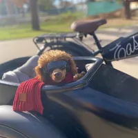 processed/0a5328b3-63da-47cf-b157-9d2370ca13c8/facility/cb4111e2-dd3c-414c-a749-8cfe882a6595