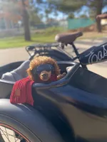 processed/0a5328b3-63da-47cf-b157-9d2370ca13c8/facility/cb4111e2-dd3c-414c-a749-8cfe882a6595