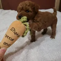 processed/0a5328b3-63da-47cf-b157-9d2370ca13c8/facility/cdb46599-9b61-4355-949f-3ae8b9adac6e