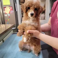 processed/0a5328b3-63da-47cf-b157-9d2370ca13c8/facility/f3bff670-0976-4ecc-8d4b-2f90feb81dea