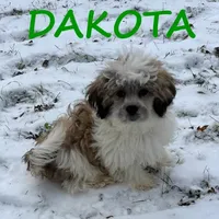 processed/0a58ecd7-0bb1-42b3-a3ff-5b916b9ae4d0/listing/0f5fe260-7734-454a-8100-39e292c4e89c/0535847b-1d0d-478d-8684-a2efb115a0bc