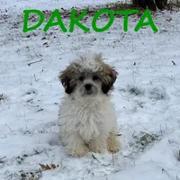 processed/0a58ecd7-0bb1-42b3-a3ff-5b916b9ae4d0/listing/0f5fe260-7734-454a-8100-39e292c4e89c/3c461afc-14c4-42af-9d2a-f296a9e9e6c3