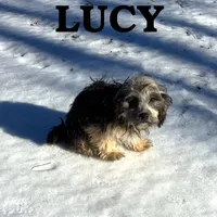 processed/0a58ecd7-0bb1-42b3-a3ff-5b916b9ae4d0/listing/31ebcd5f-85b8-472f-8bc9-3421ebad66ed/e1151ebe-6c16-4607-9beb-97e99b088b62