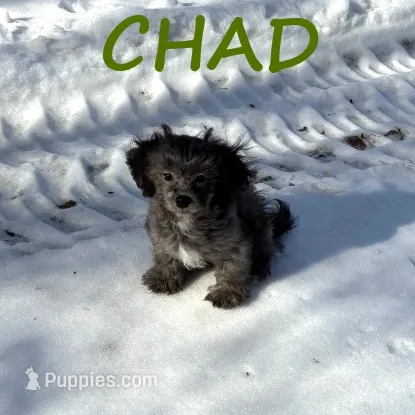 Chad