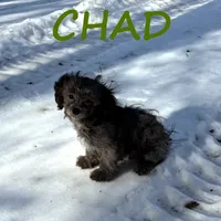 processed/0a58ecd7-0bb1-42b3-a3ff-5b916b9ae4d0/listing/3751fd3c-d039-4c29-81d5-53362e9998c3/b56012ba-05b9-490c-8ded-14d1eab501a8