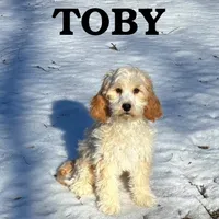 processed/0a58ecd7-0bb1-42b3-a3ff-5b916b9ae4d0/listing/49c1edf3-7d5a-4832-9c19-4872ef3b1b14/8bd83382-7010-4ee4-aeaa-cfd25940c0b6