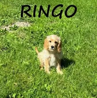 processed/0a58ecd7-0bb1-42b3-a3ff-5b916b9ae4d0/listing/6d3ab9b2-c3dd-40c9-9ebe-89f23a7e81b2/083a7174-20e2-48d5-9d47-446b702cc84c