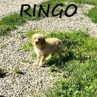 processed/0a58ecd7-0bb1-42b3-a3ff-5b916b9ae4d0/listing/6d3ab9b2-c3dd-40c9-9ebe-89f23a7e81b2/b417b0a3-6dca-4c48-8096-85b27f631cff