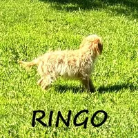 processed/0a58ecd7-0bb1-42b3-a3ff-5b916b9ae4d0/listing/6d3ab9b2-c3dd-40c9-9ebe-89f23a7e81b2/dce6506b-cb78-4ef9-a8b1-229c4f1c177d