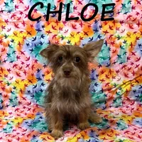 processed/0a58ecd7-0bb1-42b3-a3ff-5b916b9ae4d0/listing/8ec827c1-bfd2-475a-bd93-de7d59c796bb/8098e61b-65b5-489e-9a6e-d0c5ff1c9fe5