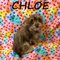 processed/0a58ecd7-0bb1-42b3-a3ff-5b916b9ae4d0/listing/8ec827c1-bfd2-475a-bd93-de7d59c796bb/e081e223-7fb9-4de3-a4b5-dc32d44fb499