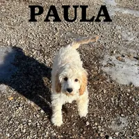 processed/0a58ecd7-0bb1-42b3-a3ff-5b916b9ae4d0/listing/b88e0946-6e20-41d4-95c2-e4e96294ed38/d1a8673b-83c2-4665-ac16-5edd963f85ba