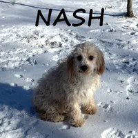 processed/0a58ecd7-0bb1-42b3-a3ff-5b916b9ae4d0/listing/cd71748f-4e3a-4ecb-b3a3-89e30c25330f/90546c02-d629-4ada-8dce-c4fd22d7874f