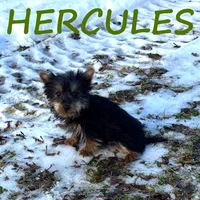 processed/0a58ecd7-0bb1-42b3-a3ff-5b916b9ae4d0/listing/da636e10-7b64-4b89-970e-7e6e6a9e40f0/1e743040-ac9c-4118-8157-eba7d28a944f