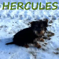 processed/0a58ecd7-0bb1-42b3-a3ff-5b916b9ae4d0/listing/da636e10-7b64-4b89-970e-7e6e6a9e40f0/33785925-63bd-4d0e-983b-e0ad2f401a0f