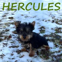 processed/0a58ecd7-0bb1-42b3-a3ff-5b916b9ae4d0/listing/da636e10-7b64-4b89-970e-7e6e6a9e40f0/8db60716-9e57-4a6e-a441-30815b8b4875