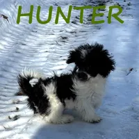 processed/0a58ecd7-0bb1-42b3-a3ff-5b916b9ae4d0/listing/e145ef2c-21f1-4f5a-a3ba-4f3fd74ca289/69e3a3fa-3b78-479b-b219-6b22d5891274