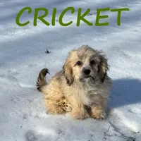 processed/0a58ecd7-0bb1-42b3-a3ff-5b916b9ae4d0/listing/f158d7ab-ecc5-4946-a886-49067b29bf76/690084e6-e7c2-42bc-8acf-f619c527e2f7