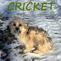 processed/0a58ecd7-0bb1-42b3-a3ff-5b916b9ae4d0/listing/f158d7ab-ecc5-4946-a886-49067b29bf76/d6d8d5eb-52ef-45bb-9cc9-8e7726383c1a