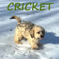 processed/0a58ecd7-0bb1-42b3-a3ff-5b916b9ae4d0/listing/f158d7ab-ecc5-4946-a886-49067b29bf76/f48185d7-2b45-4cdc-a379-3f791157b872