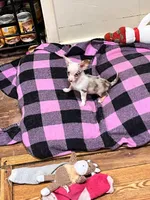 processed/0a5b2481-a186-43ec-ae4d-6b57d231a21f/listing/016184c0-edef-4256-be35-edd1c9824893/d49ff4dc-a6b1-46ec-b008-ea5282038f25