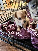 processed/0a5b2481-a186-43ec-ae4d-6b57d231a21f/listing/1e47b898-ca05-4ef4-a976-0da1952344e2/17828926-9207-43a6-8d7b-4986890ae582