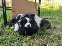 processed/0a632c62-ee99-4c9e-96d6-63046ee36d7b/facility/5daaeefa-e505-4ca7-8876-d6035912304f