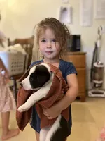 processed/0a632c62-ee99-4c9e-96d6-63046ee36d7b/facility/6179fd60-4094-4ee0-8ed5-2457bd29ff0f