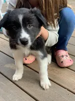 processed/0a632c62-ee99-4c9e-96d6-63046ee36d7b/facility/8f17ab57-dfdd-4d3c-8d99-78aef7dccaaf