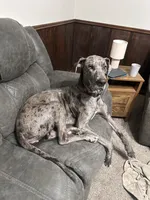 processed/0a6fad39-8b9e-43e0-89d0-0fba626f5937/listing/f88126c6-69ea-4efe-919c-e7ef8035247c/21483447-40a9-4c50-bed5-89a55df286a4