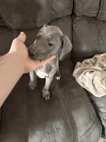 processed/0a6fad39-8b9e-43e0-89d0-0fba626f5937/listing/f88126c6-69ea-4efe-919c-e7ef8035247c/46115d9b-7eb2-497d-9282-320f49fdfa95