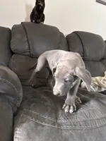 processed/0a6fad39-8b9e-43e0-89d0-0fba626f5937/listing/f88126c6-69ea-4efe-919c-e7ef8035247c/97fd689c-9ccd-48a2-a8fb-abce91a38324