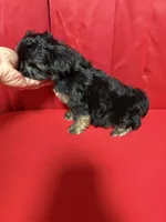 processed/0a793220-1139-4d4c-bfcc-8da26bb7e1ef/listing/92ecda53-5c9c-48ea-b734-0b9e3c18137d/25fc74fc-42af-437c-8a24-da7a155cc6c7