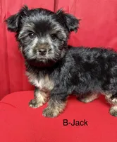 processed/0a793220-1139-4d4c-bfcc-8da26bb7e1ef/listing/92ecda53-5c9c-48ea-b734-0b9e3c18137d/3c75c26b-8a0f-4175-aa60-540f7361b908