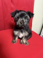 processed/0a793220-1139-4d4c-bfcc-8da26bb7e1ef/listing/92ecda53-5c9c-48ea-b734-0b9e3c18137d/c23f8cf0-919a-418f-9c9a-21f20c1066a7