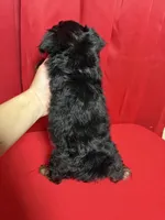 processed/0a793220-1139-4d4c-bfcc-8da26bb7e1ef/listing/92ecda53-5c9c-48ea-b734-0b9e3c18137d/f3631ce6-890a-4299-a902-6d96bdc79f64