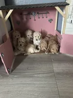 processed/0a8ac9a1-14df-4efc-8102-8f905835d149/facility/32605372-f818-4297-8bab-29b91c526fdb