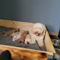 processed/0a8ac9a1-14df-4efc-8102-8f905835d149/facility/6bf2f3ea-c6b4-426f-97b2-96c29452eb8d