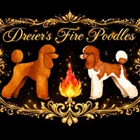 processed/0a95c37b-3dd8-4c9e-862b-83e77efa0fea/facility/224299e7-96d2-46be-8607-4863dedc2ada