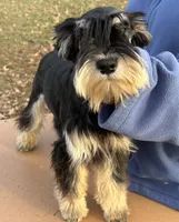 processed/0a9798fc-5488-430a-8b9e-7121513b521c/listing/ac504b35-7b9d-4ade-b79c-2f6b731269a1/d209d38f-28a3-4ee6-aa94-f159e561b235