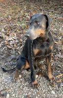 processed/0a9798fc-5488-430a-8b9e-7121513b521c/listing/c345a9d4-ce5b-4602-9732-f92143e7204b/59f9e848-e268-4ccc-87a8-d7188619c891