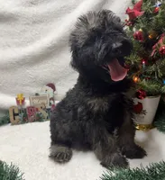 processed/0a9798fc-5488-430a-8b9e-7121513b521c/listing/d94b7f9c-330a-4e37-8f4f-b8390d4fa134/44b181d2-e245-4da6-bc41-c2ebdf8cb574