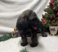 processed/0a9798fc-5488-430a-8b9e-7121513b521c/listing/d94b7f9c-330a-4e37-8f4f-b8390d4fa134/9d009c69-4d07-414c-8744-c9a22dc420f0