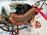 processed/0a9a5d7c-6343-4320-8cc0-0d9f33f91ac6/listing/25fe3044-c158-40bb-bfdd-7b81c538ffa6/7a2fc3ae-9927-4d9d-8986-62acc942f6ce