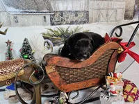 processed/0a9a5d7c-6343-4320-8cc0-0d9f33f91ac6/listing/25fe3044-c158-40bb-bfdd-7b81c538ffa6/86828748-4495-4445-9be3-108d1e93ffe8